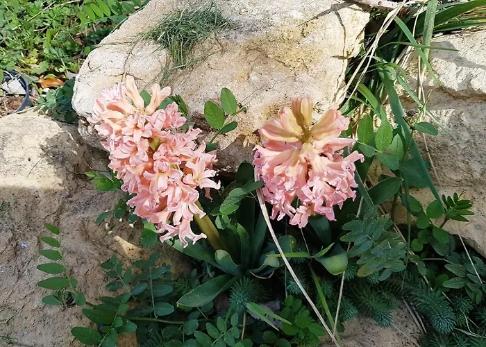 La Grange D'Aze
